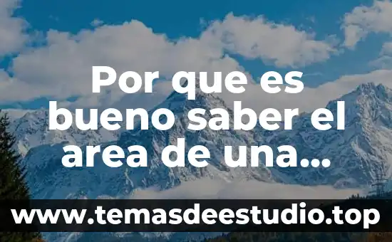 Que es un ruta area 4 Por que es bueno saber el area de una figura