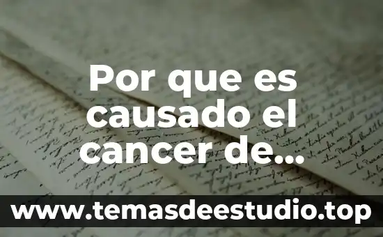 Cáncer de cuello de útero 3 Por que es causado el cancer de prostata