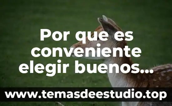 Que es elegir y ser elegido 6 Por que es conveniente elegir buenos jueces penales