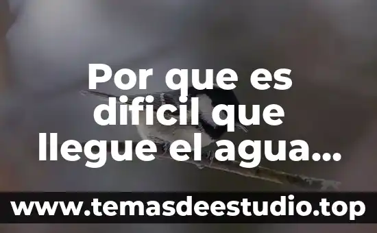 Que es una planta potabilizadora de agua potable 4 Por que es dificil que llegue el agua potable