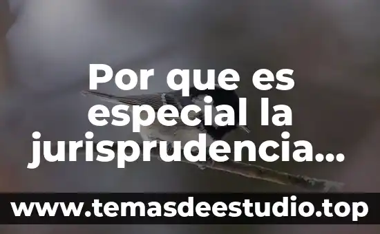 Qué es una práctica administrativa significado 8 Por que es especial la jurisprudencia administrativa en mexico