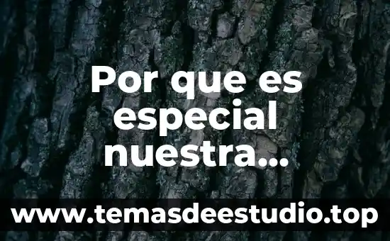 Gastronomía de Asia técnicas e ingredientes que es de Francia 6 Por que es especial nuestra gastronomia mexicana