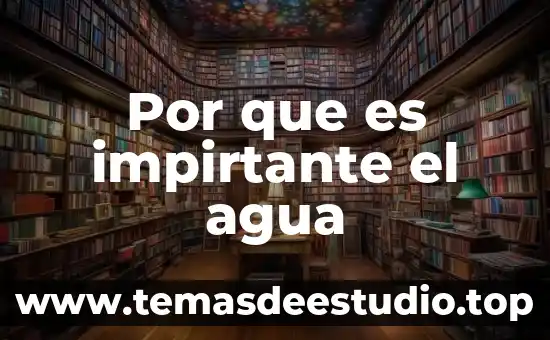 Por que es impirtante el agua