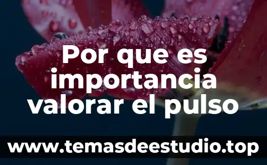 Que es el autoestima importancia 3 Por que es importancia valorar el pulso