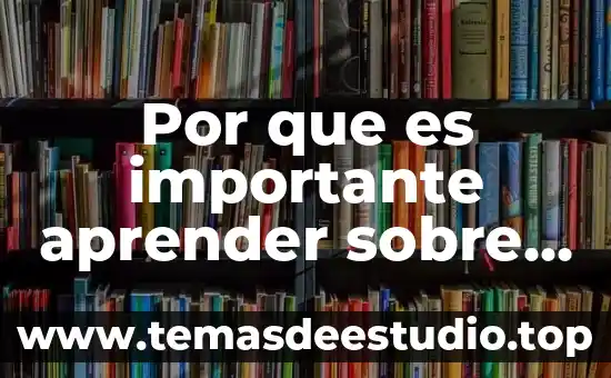 Teoria interpretativa que es aprender 6 Por que es importante aprender sobre la violencia simbolica