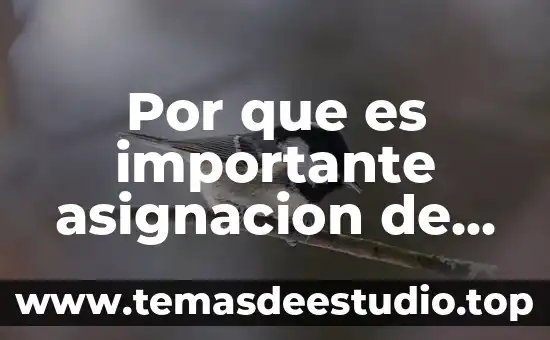 Actividades que es un experimento 3 Por que es importante asignacion de actividades en una empresa