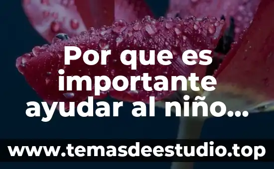 Por que es importante la sanidad animal el estado 5 Por que es importante ayudar al niño en el baloncesto