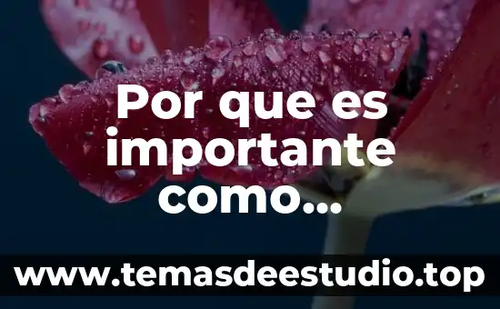 Documento del plan guadalupe victoria que es 5 Por que es importante como consumidor la calidad del producto