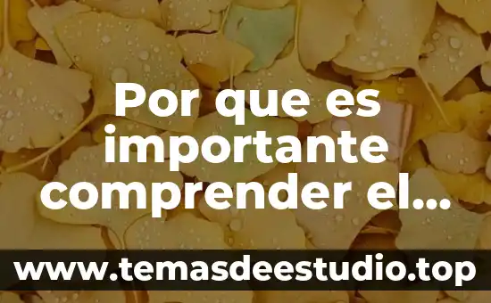 Que es la comprender citado por un autor 7 Por que es importante comprender el concepto de trabajo social
