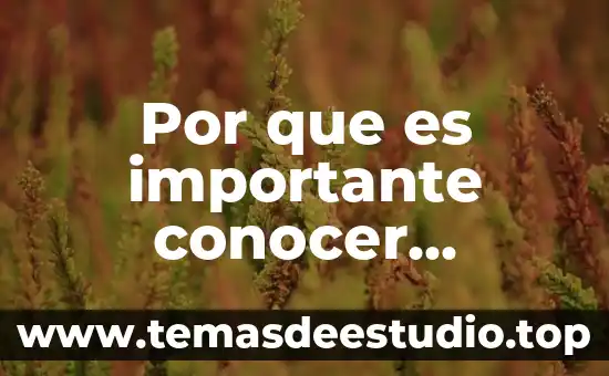 Que es historia de nuestros tiempos 7 Por que es importante conocer nuestros atributos