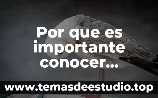 Que es historia de nuestros tiempos 6 Por que es importante conocer nuestros gustos