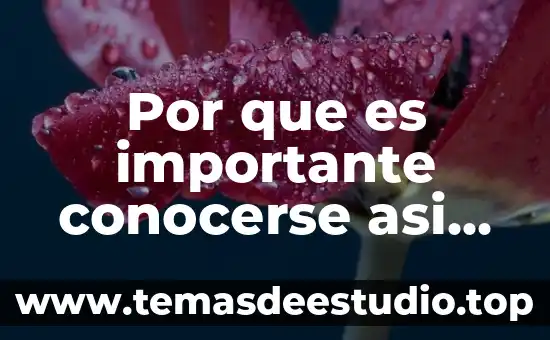 Por que es importante conocerse asi mismo