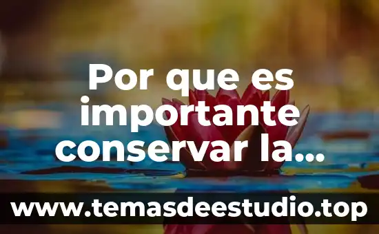 Frases de por qué es importante ser puntual 8 Por que es importante conservar la cultura olmeca