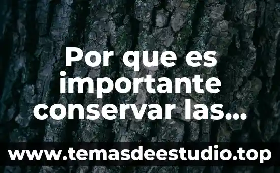 Por que es importante la asamblea de atenas grecia 4 Por que es importante conservar las especies de murcielagos