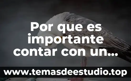 Puntos por qué es importante difundir la cultura en México 8 Por que es importante contar con un estatus social