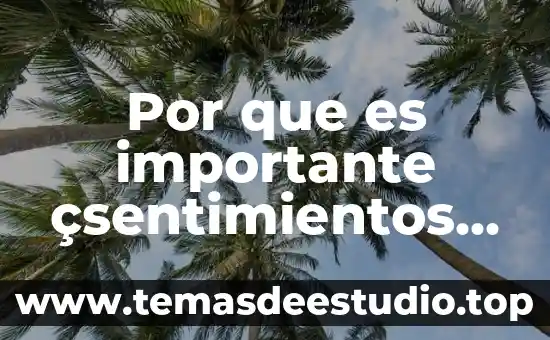 Por que es importante çsentimientos de la nacion explicacion