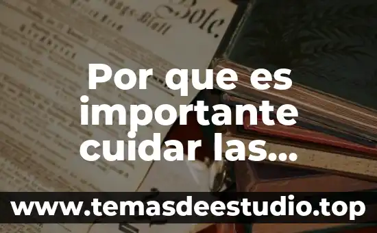 Por que es necesario cuidar la salud mental 5 Por que es importante cuidar las lesiones