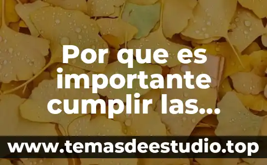 Por que es importante cumplir las reglas