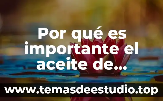 Culturas para las que es importante el color rojo 3 Por qué es importante el aceite de Lorenzo