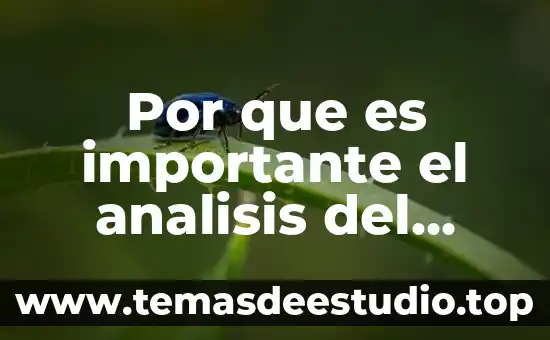 Puntos por qué es importante difundir la cultura en México 6 Por que es importante el analisis del estudio del trabajo