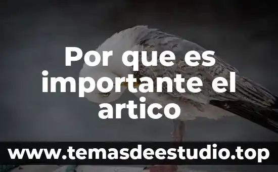 Que es relieve cultural 7 Por que es importante el artico