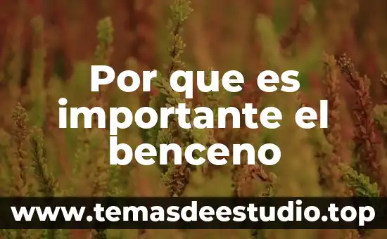 Por que es importante el respeto en la sociedad 8 Por que es importante el benceno