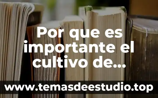 Que es la cultura y cultivo 7 Por que es importante el cultivo de plantas