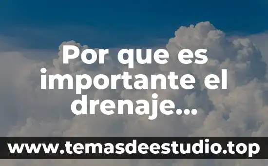 Qué es un registro sanitario en construcción 6 Por que es importante el drenaje sanitario