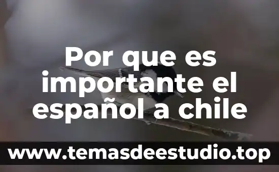 Por que es importante la electroterapia en los musculos 7 Por que es importante el español a chile