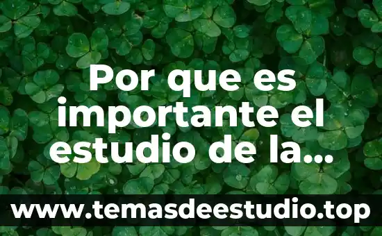 Por que es importante el estudio de la cinemantica