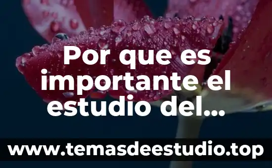 Qué es más importante en la exploración abdominal 8 Por que es importante el estudio del sistema cardiovascular