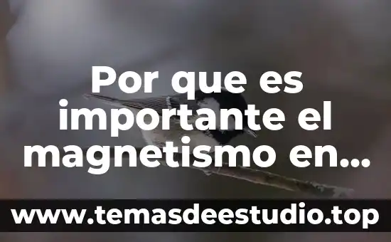 Que es el polo norte relacionado con el magnetismo 5 Por que es importante el magnetismo en la actualidad