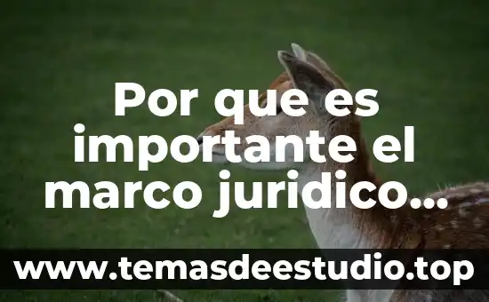 Por que es importante disminuir el chupeteo en los bebés 5 Por que es importante el marco juridico en un restaurante