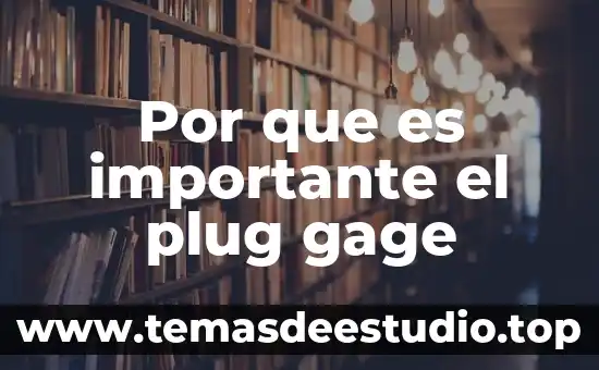 Por que es importante conservar la cultura olmeca 8 Por que es importante el plug gage