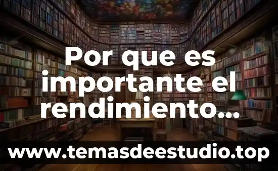 Por que es importante el rendimiento escolar