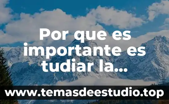 Que es una virtud ejemplos 4 Por que es importante es tudiar la historia