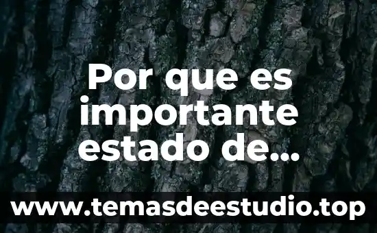 Por que es importante estado de derecho