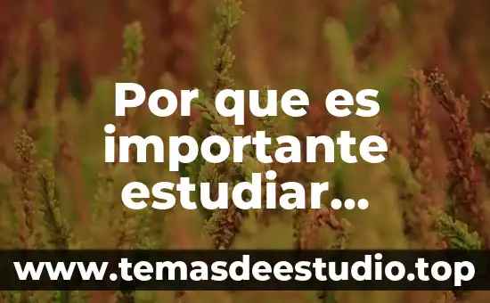 Por que es importante estudiar la historia de mexico 8 Por que es importante estudiar derecho