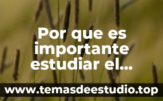 Qué es mejor estudiar finanzas o ingeniería en telemática 8 Por que es importante estudiar el ingles