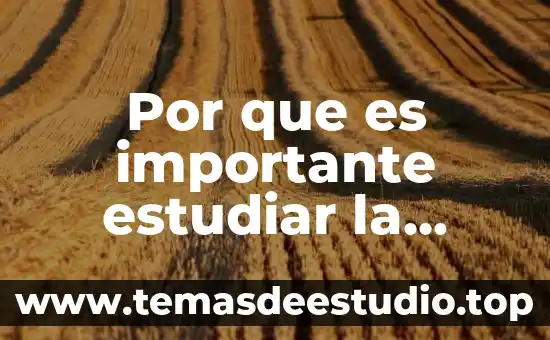 Por que es importante estudiar la historia