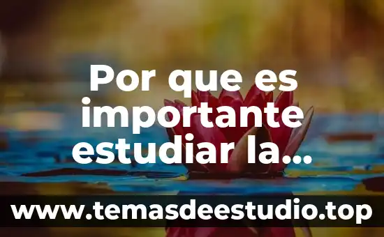 Álgebra que es lo primero que se debe de estudiar 7 Por que es importante estudiar la historia de mexico