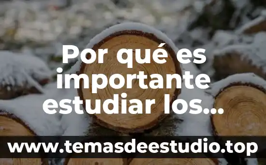 Que es lo que significa estudiar filosofia 5 Por qué es importante estudiar los delfines