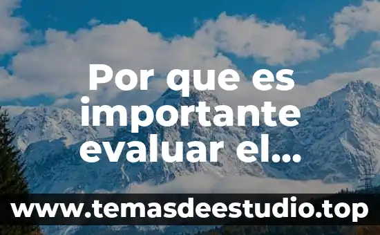 Por que es importante evaluar el cerebro en experimentos