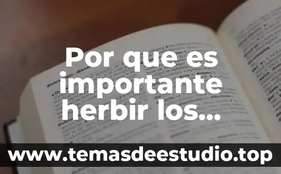 Por que es importante la electroterapia en los musculos 6 Por que es importante herbir los alimentos