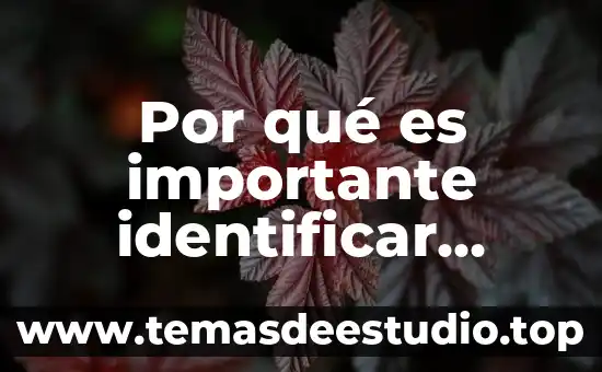 Que es historia de nuestros tiempos 3 Por qué es importante identificar nuestros competidores libro