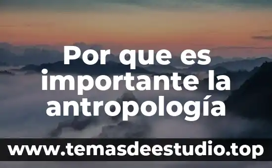 Antropología filosófica ernst cassirer que es el hombre resumen 7 Por que es importante la antropología