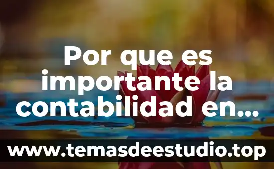 Que es el area de conocimiento en contabilidad 6 Por que es importante la contabilidad en una empresa