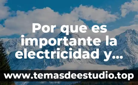 Que es el polo norte relacionado con el magnetismo 6 Por que es importante la electricidad y magnetismo