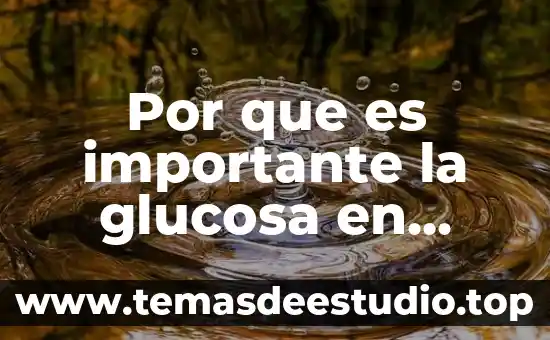Por que es importante la glucosa en nuestro entorno