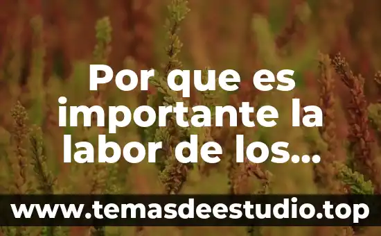 Por que es importante el respeto en la sociedad 5 Por que es importante la labor de los tanatologos